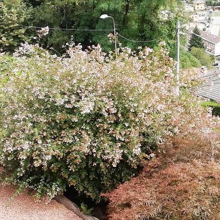 Villa Banfi 라베나 폰테 트레사 외부 사진