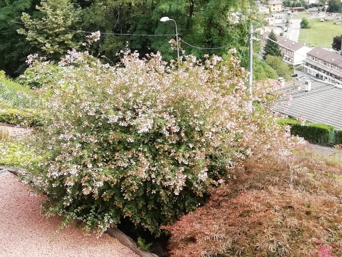 Villa Banfi 라베나 폰테 트레사 외부 사진